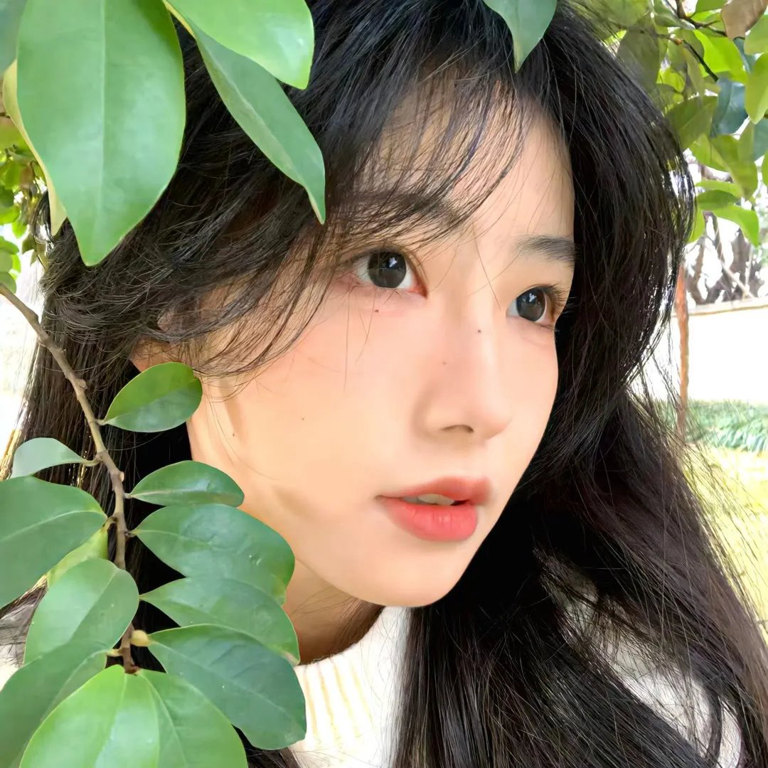 拥抱大白熊