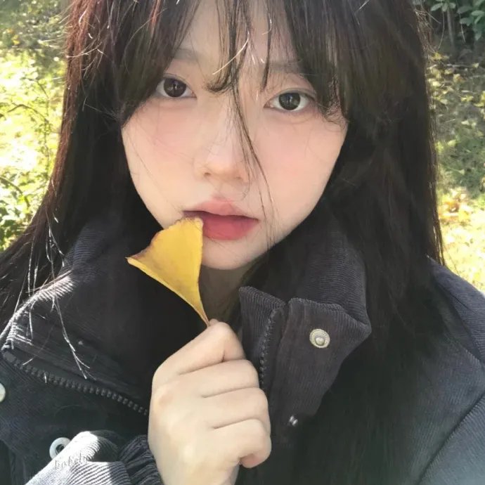 情深几许